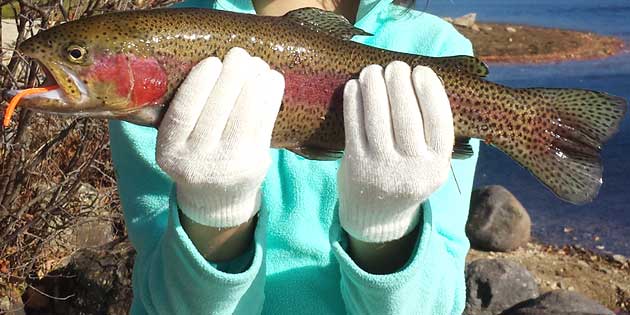 Image of a rainbow trout that a child caught with a PowerBait Mice Tail